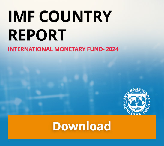 IMF Algeria Report